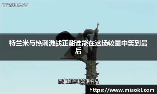 特兰米与热刺激战正酣谁能在这场较量中笑到最后